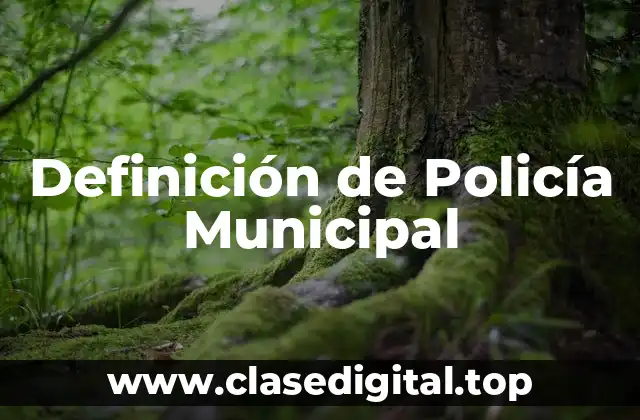 Definición de Policía Municipal
