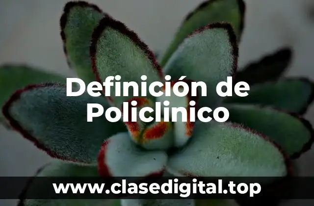 Definición de Policlinico
