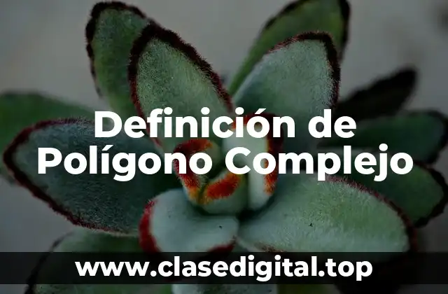 Definición de Polígono Complejo