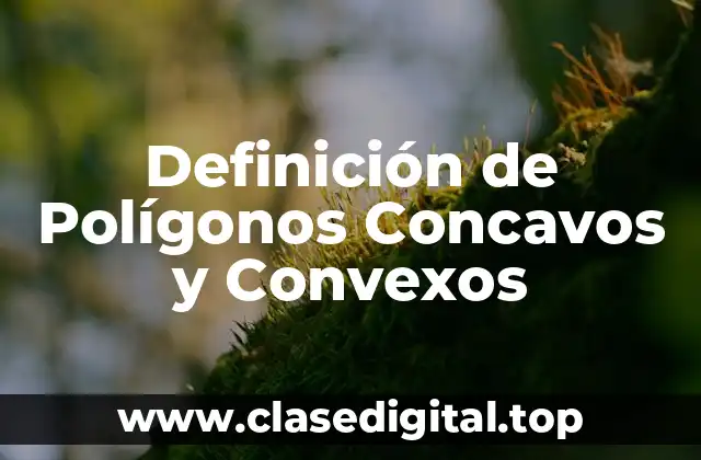 Definición de Polígonos Concavos y Convexos