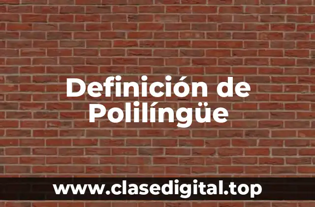 Ejemplos de Polilíngüe