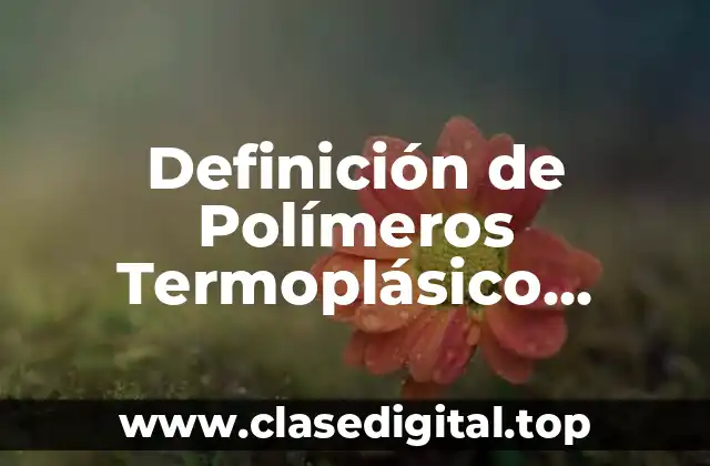 Definición de Polímeros Termoplásico Termofijo Elástico