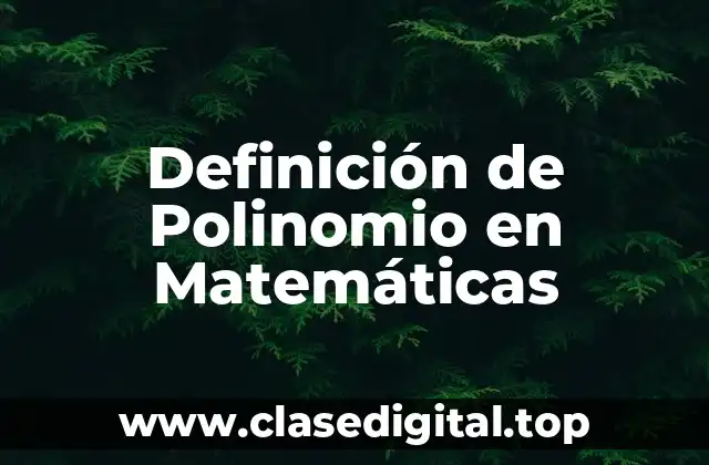 Definición de Polinomio en Matemáticas