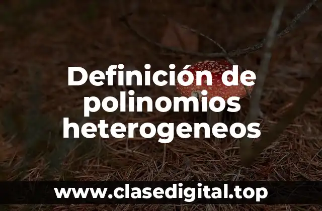 Definición de polinomios heterogeneos