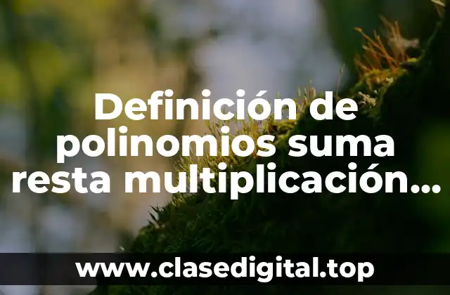 Definición de polinomios suma resta multiplicación y división
