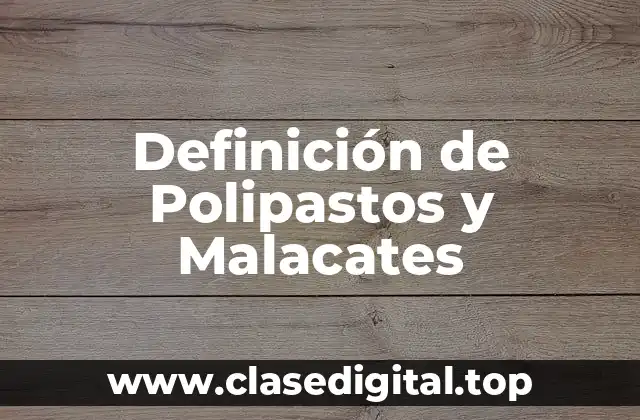 Definición de Polipastos y Malacates
