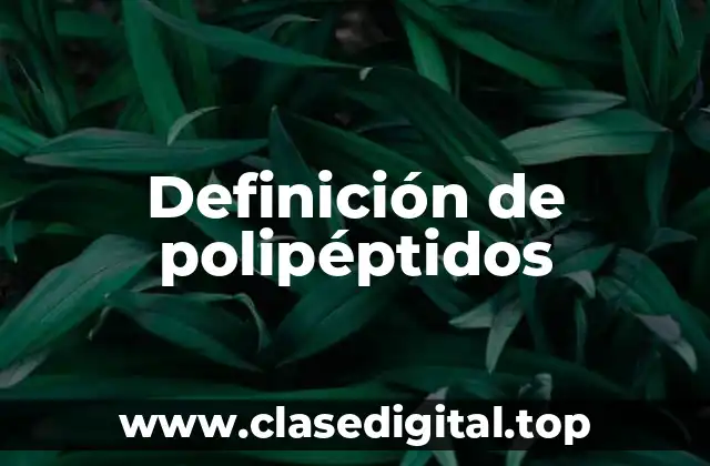 Definición de polipéptidos
