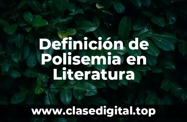 Definición de Polisemia en Literatura