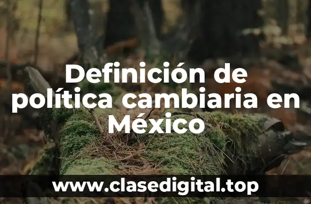 Definición de política cambiaria en México