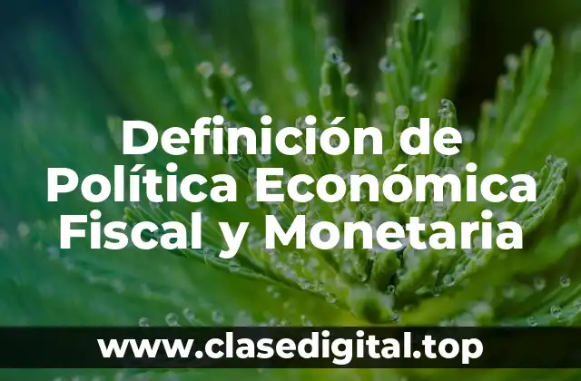Definición de Política Económica Fiscal y Monetaria