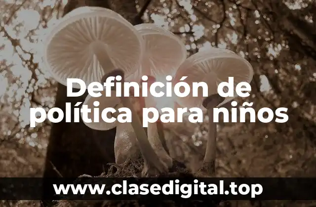 Definición de política para niños