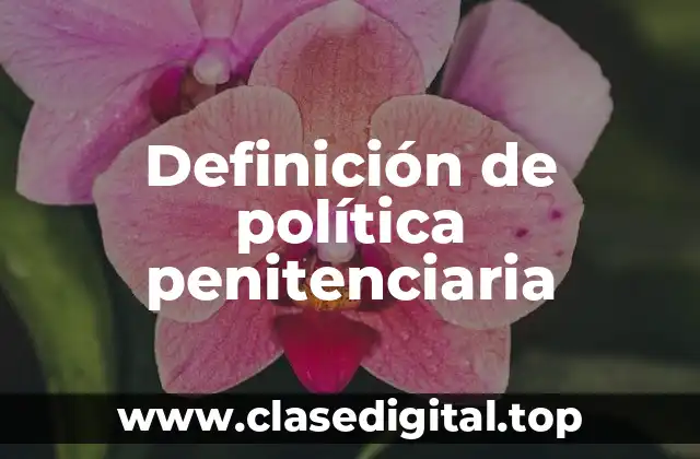 Definición de política penitenciaria
