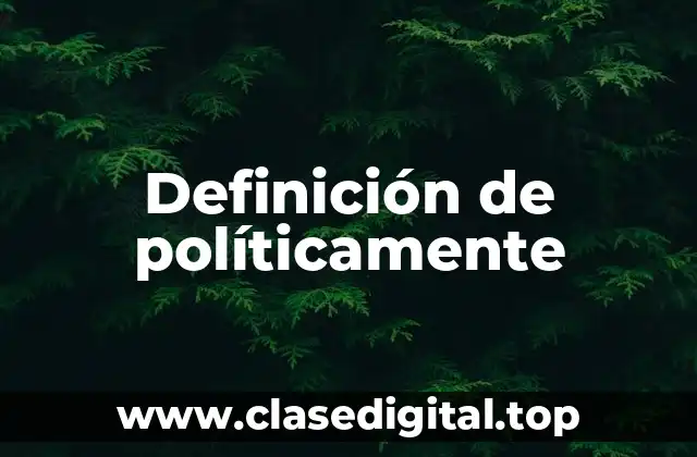 Definición de políticamente