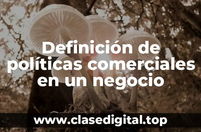 Ejemplos de políticas comerciales en un negocio