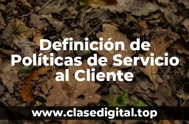 Ejemplos de Políticas de Servicio al Cliente