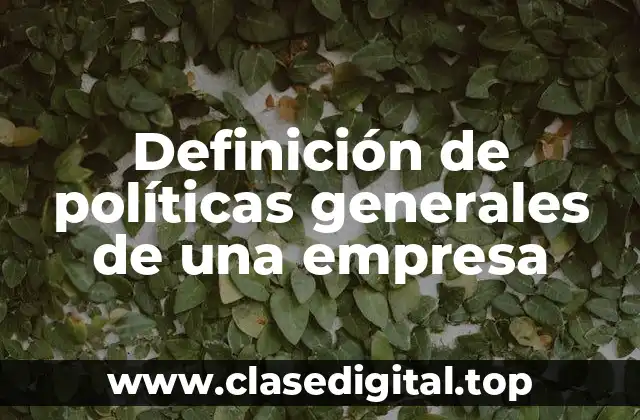 Definición técnica de políticas generales de una empresa