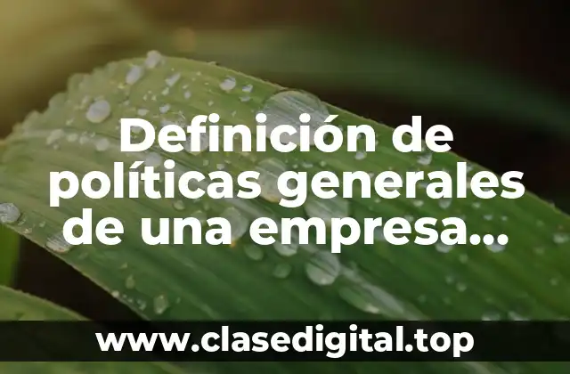 Definición de políticas generales de una empresa comercial