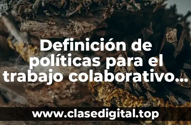 Ejemplos de políticas para el trabajo colaborativo en el aula