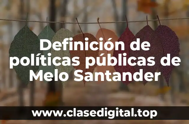 Definición de políticas públicas de Melo Santander