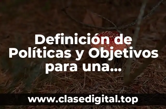 Definición de Políticas y Objetivos para una Organización