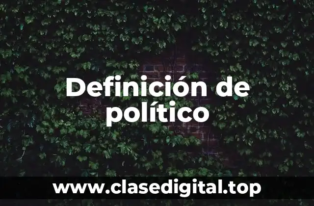 Definición de político