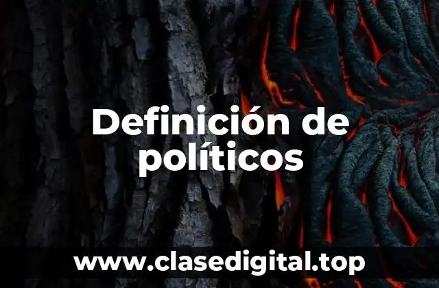 Definición de políticos