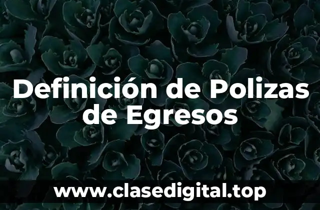 Definición de Polizas de Egresos