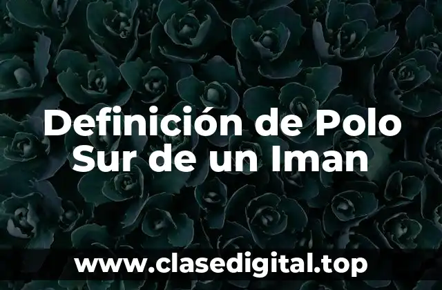 Definición de Polo Sur de un Iman