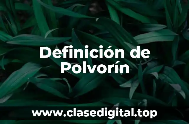 Definición de Polvorín