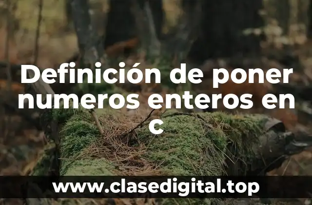 Definición de poner numeros enteros en c