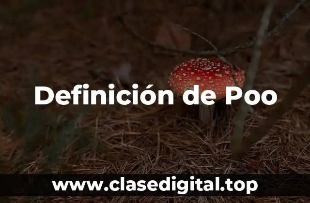 Definición técnica de Poo