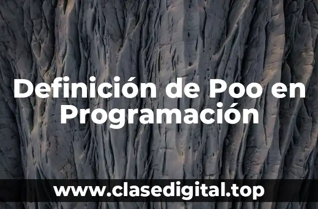 Definición de Poo en Programación