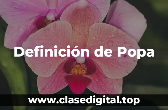 Definición de Popa