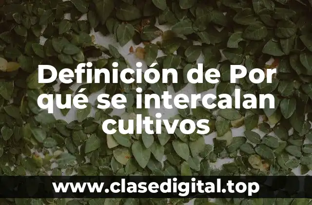 Definición de Por qué se intercalan cultivos