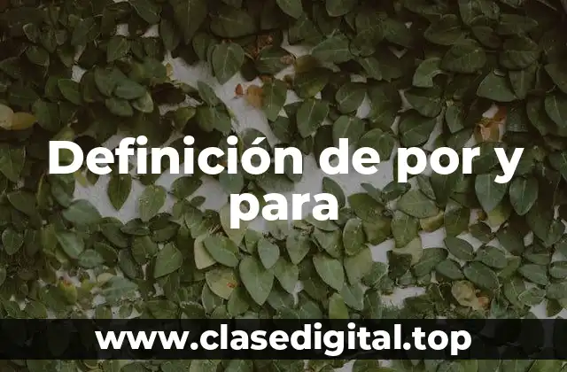 Ejemplos de por y para