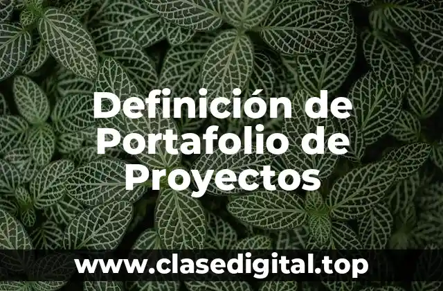 Definición de Portafolio de Proyectos