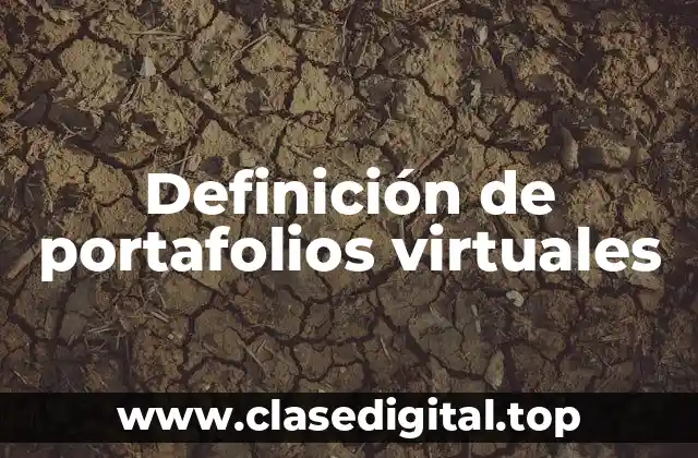 Definición de portafolios virtuales