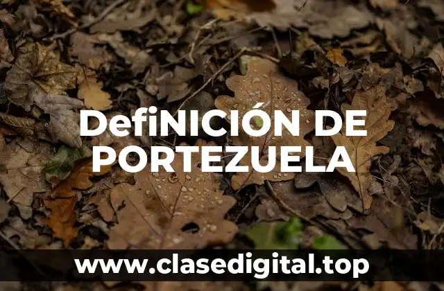 DefiNICIÓN DE PORTEZUELA