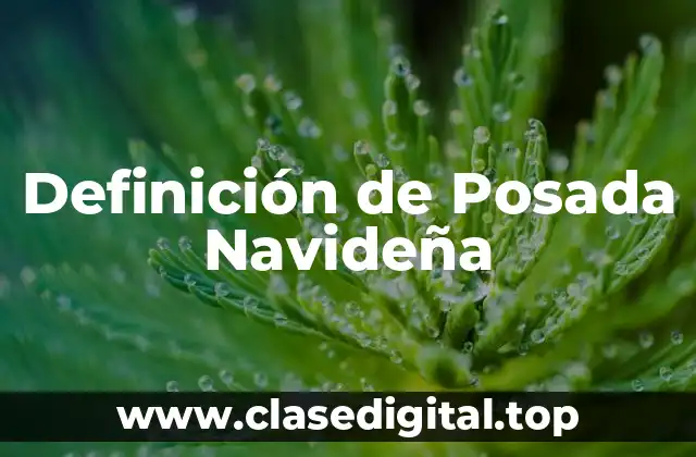 Definición de Posada Navideña