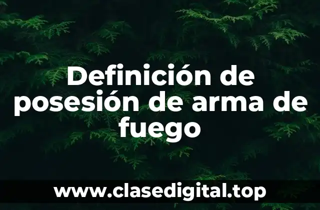 Definición de posesión de arma de fuego