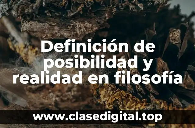 Definición de posibilidad y realidad en filosofía