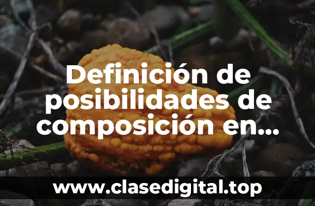 Definición de posibilidades de composición en diferentes formatos