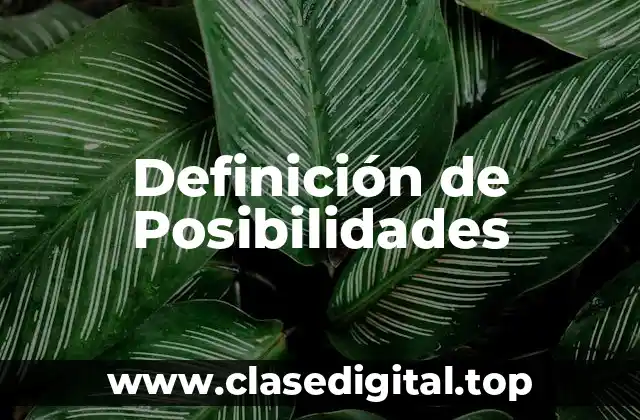 Definición de Posibilidades