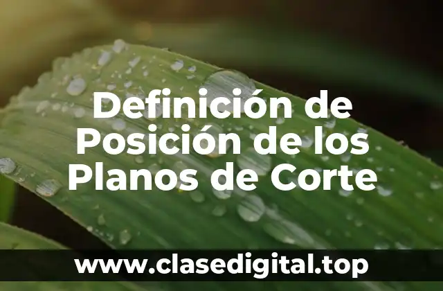 Definición de Posición de los Planos de Corte