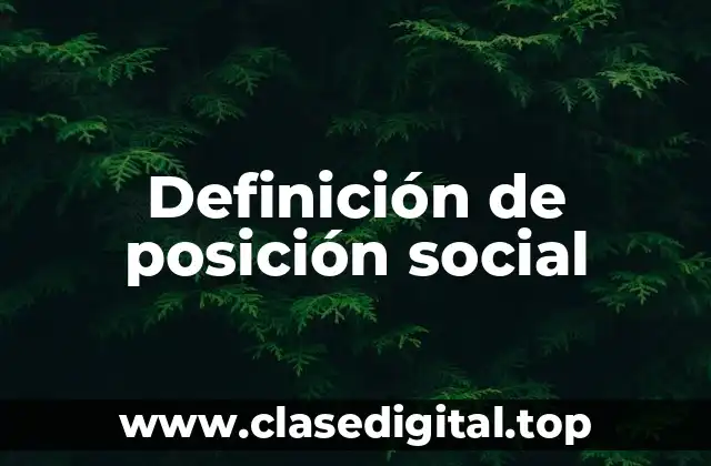 Definición de posición social