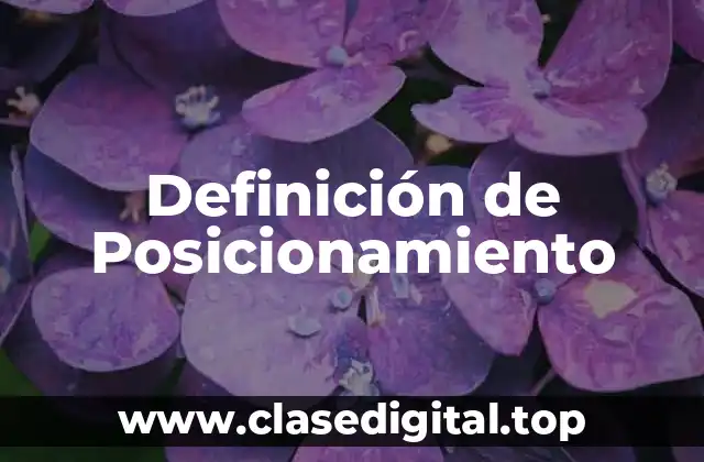 Definición técnica de Posicionamiento