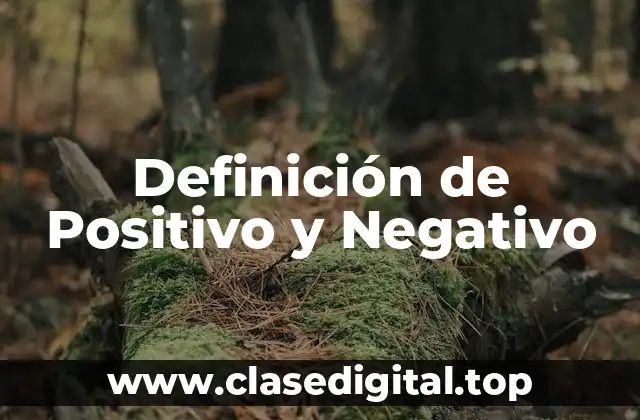 Definición técnica de Positivo