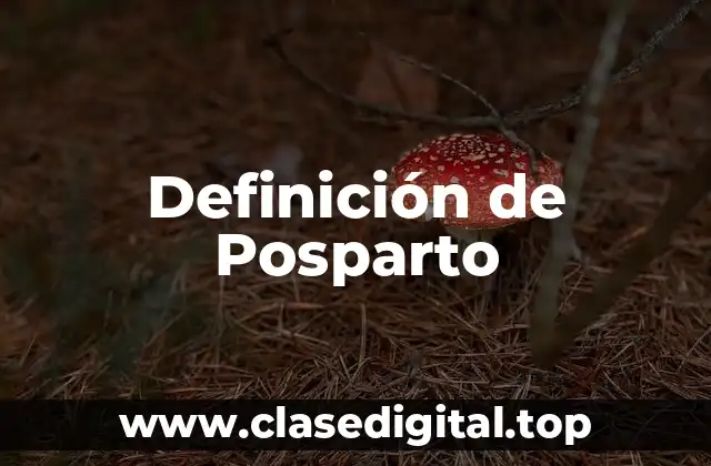 Definición de Posparto