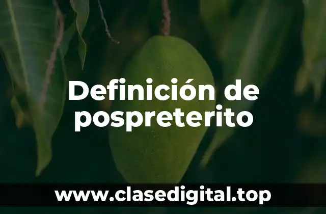 Definición de pospreterito