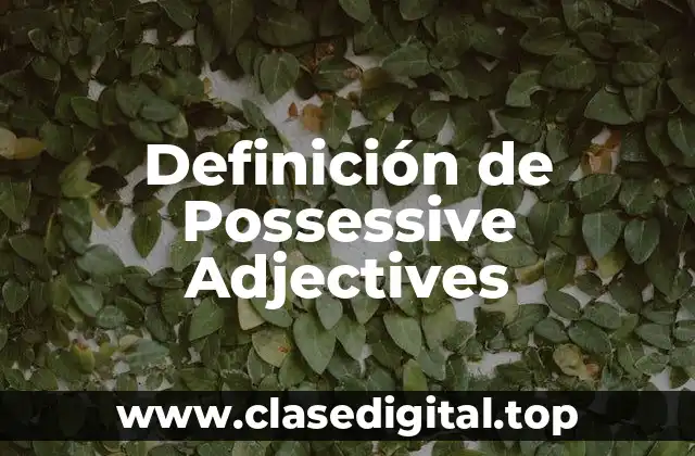 Definición de Possessive Adjectives